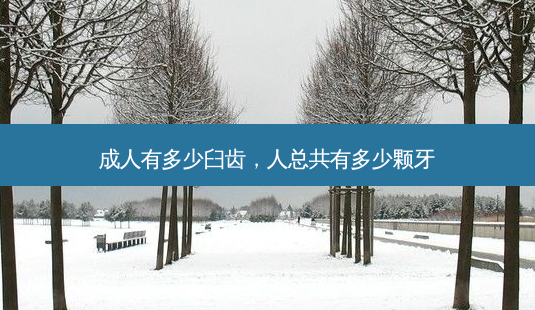 成人有多少臼齿,人总共有多少颗牙-第1张图片-容颜讯 成人有多少臼齿,人总共有多少颗牙-第1张图片-容颜讯