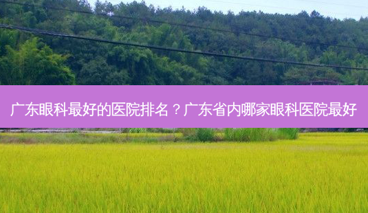 广东眼科好的医院排名?广东省内哪家眼科医院好-第1张图片-容颜讯 广东眼科好的医院排名?广东省内哪家眼科医院好-第1张图片-容颜讯
