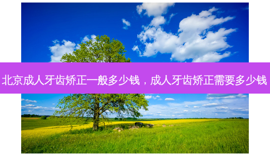 北京成人牙齿矫正一般多少钱,成人牙齿矫正需要多少钱-第1张图片-容颜讯 北京成人牙齿矫正一般多少钱,成人牙齿矫正需要多少钱-第1张图片-容颜讯