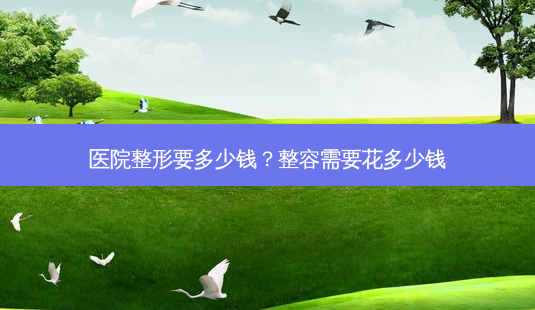 医院整形要多少钱？整容需要花多少钱-第1张图片-容颜讯