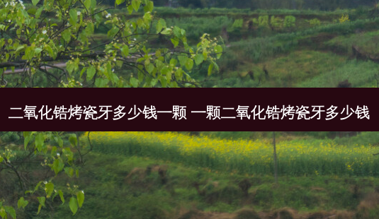 二氧化锆烤瓷牙多少钱一颗 一颗二氧化锆烤瓷牙多少钱-第1张图片-容颜讯 二氧化锆烤瓷牙多少钱一颗 一颗二氧化锆烤瓷牙多少钱-第1张图片-容颜讯