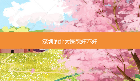 深圳的北大医院好不好-第1张图片-容颜讯 深圳的北大医院好不好-第1张图片-容颜讯
