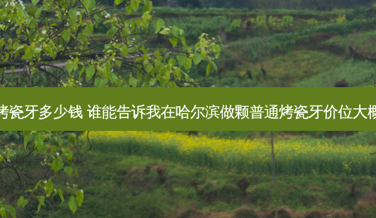哈尔滨烤瓷牙多少钱 谁能告诉我在哈尔滨做颗普通烤瓷牙价位大概多少啊-第1张图片-容颜讯 哈尔滨烤瓷牙多少钱 谁能告诉我在哈尔滨做颗普通烤瓷牙价位大概多少啊-第1张图片-容颜讯