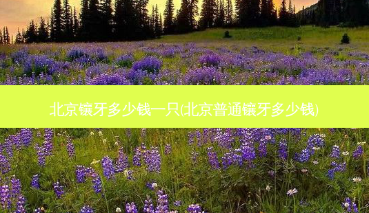 北京镶牙多少钱一只(北京普通镶牙多少钱)-第1张图片-容颜讯