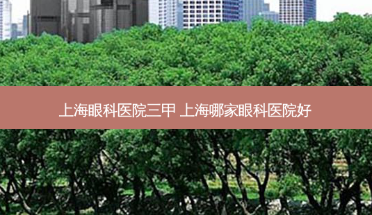 上海眼科医院三甲 上海哪家眼科医院好-第1张图片-容颜讯 上海眼科医院三甲 上海哪家眼科医院好-第1张图片-容颜讯