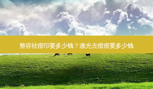 整容祛痘印要多少钱?激光去痘痘要多少钱-第1张图片-容颜讯 整容祛痘印要多少钱?激光去痘痘要多少钱-第1张图片-容颜讯