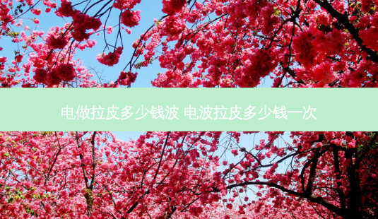 电做拉皮多少钱波 电波拉皮多少钱一次-第1张图片-容颜讯