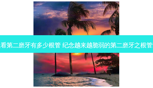 怎么看第二磨牙有多少根管 纪念越来越脆弱的第二磨牙之根管-第1张图片-容颜讯 怎么看第二磨牙有多少根管 纪念越来越脆弱的第二磨牙之根管-第1张图片-容颜讯