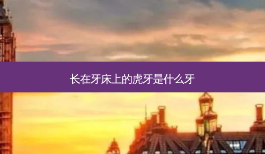 长在牙床上的虎牙是什么牙-第1张图片-容颜讯 长在牙床上的虎牙是什么牙-第1张图片-容颜讯