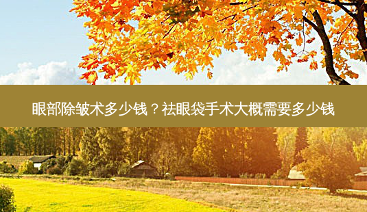 眼部除皱术多少钱？祛眼袋手术大概需要多少钱-第1张图片-容颜讯