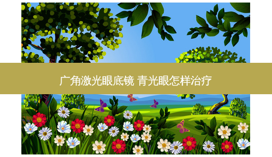 广角激光眼底镜 青光眼怎样-第1张图片-容颜讯