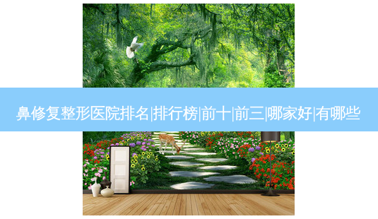 鼻修复整形医院排名|排行榜|前十|前三|哪家好|有哪些-第1张图片-容颜讯