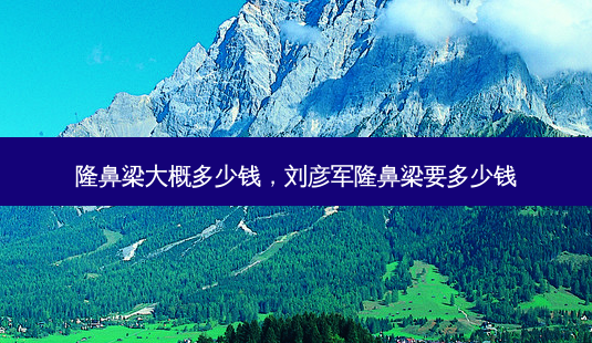 隆鼻梁大概多少钱，刘彦军隆鼻梁要多少钱-第1张图片-容颜讯