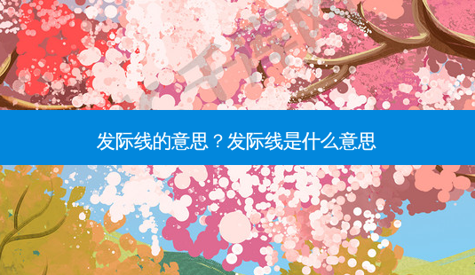 发际线的意思？发际线是什么意思-第1张图片-容颜讯