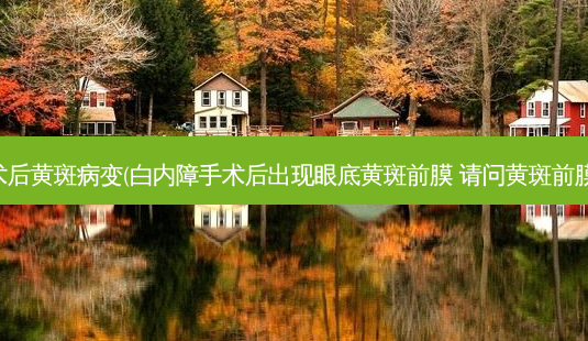 白内障手术后黄斑病变(白内障手术后出现眼底黄斑前膜 请问黄斑前膜是否可以)-第1张图片-容颜讯 白内障手术后黄斑病变(白内障手术后出现眼底黄斑前膜 请问黄斑前膜是否可以)-第1张图片-容颜讯