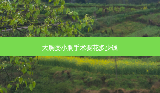 大胸变小胸手术要花多少钱-第1张图片-容颜讯 大胸变小胸手术要花多少钱-第1张图片-容颜讯