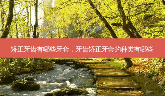 矫正牙齿有哪些牙套，牙齿矫正牙套的种类有哪些-第1张图片-容颜讯