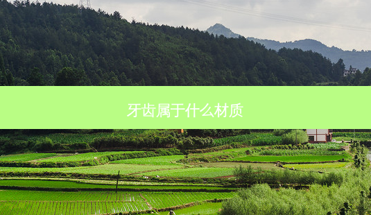 牙齿属于什么材质-第1张图片-容颜讯 牙齿属于什么材质-第1张图片-容颜讯