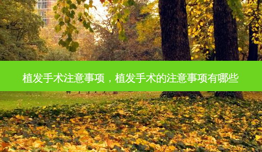 植发手术注意事项，植发手术的注意事项有哪些-第1张图片-容颜讯
