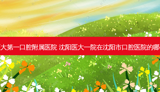 沈阳医大第一口腔附属医院 沈阳医大一院在沈阳市口腔医院的哪个方向-第1张图片-容颜讯