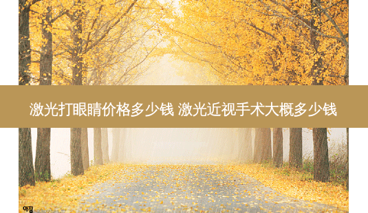 激光打眼睛价格多少钱 激光近视手术大概多少钱-第1张图片-容颜讯 激光打眼睛价格多少钱 激光近视手术大概多少钱-第1张图片-容颜讯