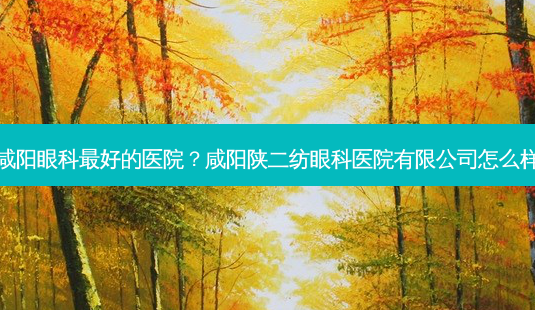 咸阳眼科好的医院?咸阳陕二纺眼科医院有限公司怎么样-第1张图片-容颜讯 咸阳眼科好的医院?咸阳陕二纺眼科医院有限公司怎么样-第1张图片-容颜讯