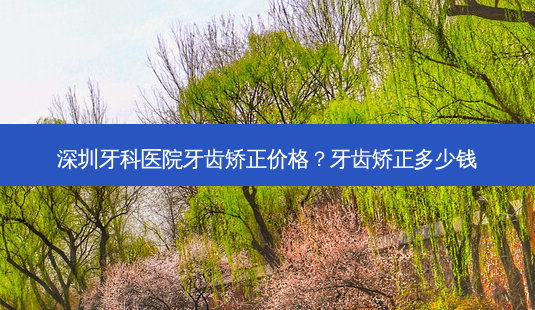 深圳牙科医院牙齿矫正价格?牙齿矫正多少钱-第1张图片-容颜讯 深圳牙科医院牙齿矫正价格?牙齿矫正多少钱-第1张图片-容颜讯