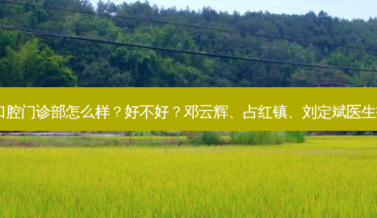 上海茂菊口腔门诊部怎么样？好不好？邓云辉、占红镇、刘定斌医生技术不错！-第1张图片-容颜讯