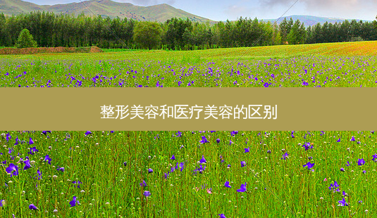 整形美容和医疗美容的区别-第1张图片-容颜讯