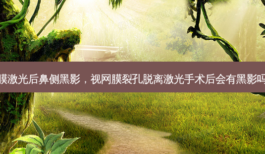 视网膜激光后鼻侧黑影,视网膜裂孔脱离激光手术后会有黑影吗能消-第1张图片-容颜讯 视网膜激光后鼻侧黑影,视网膜裂孔脱离激光手术后会有黑影吗能消-第1张图片-容颜讯