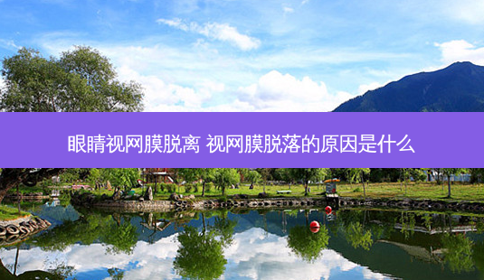眼睛视网膜脱离 视网膜脱落的原因是什么-第1张图片-容颜讯 眼睛视网膜脱离 视网膜脱落的原因是什么-第1张图片-容颜讯