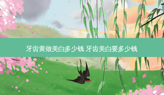 牙齿黄做美白多少钱 牙齿美白要多少钱-第1张图片-容颜讯