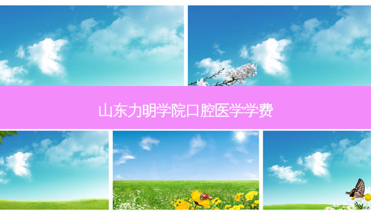 山东力明学院口腔医学学费-第1张图片-容颜讯