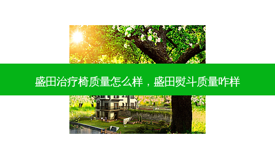 盛田椅质量怎么样,盛田熨斗质量咋样-第1张图片-容颜讯 盛田椅质量怎么样,盛田熨斗质量咋样-第1张图片-容颜讯