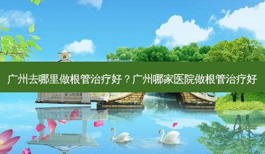 广州去哪里做根管好？广州哪家医院做根管好-第1张图片-容颜讯
