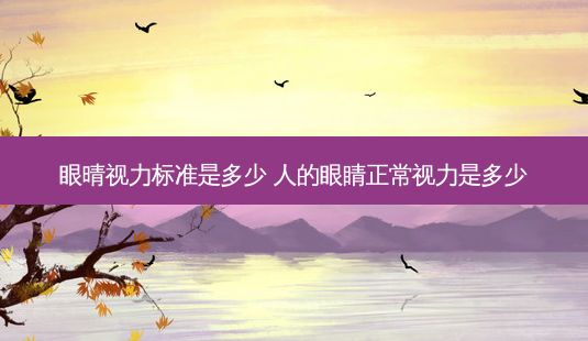 眼晴视力标准是多少 人的眼睛正常视力是多少-第1张图片-容颜讯 眼晴视力标准是多少 人的眼睛正常视力是多少-第1张图片-容颜讯