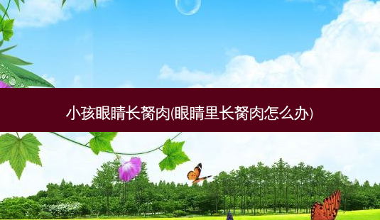 小孩眼睛长胬肉(眼睛里长胬肉怎么办)-第1张图片-容颜讯
