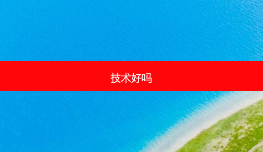 技术好吗-第1张图片-容颜讯 技术好吗-第1张图片-容颜讯