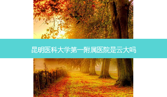 昆明医科大学第一附属医院是云大吗-第1张图片-容颜讯 昆明医科大学第一附属医院是云大吗-第1张图片-容颜讯