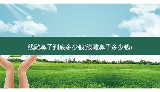 线雕鼻子到底多少钱(线雕鼻子多少钱)-第1张图片-容颜讯 线雕鼻子到底多少钱(线雕鼻子多少钱)-第1张图片-容颜讯