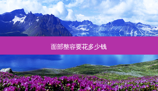 面部整容要花多少钱-第1张图片-容颜讯