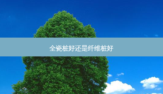 全瓷桩好还是纤维桩好-第1张图片-容颜讯 全瓷桩好还是纤维桩好-第1张图片-容颜讯