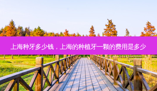 上海种牙多少钱,上海的种植牙一颗的费用是多少-第1张图片-容颜讯 上海种牙多少钱,上海的种植牙一颗的费用是多少-第1张图片-容颜讯