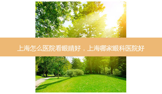 上海怎么医院看眼睛好，上海哪家眼科医院好-第1张图片-容颜讯