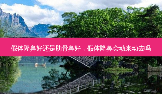 假体隆鼻好还是肋骨鼻好,假体隆鼻会动来动去吗-第1张图片-容颜讯 假体隆鼻好还是肋骨鼻好,假体隆鼻会动来动去吗-第1张图片-容颜讯