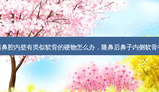 隆鼻后鼻腔内壁有类似软骨的硬物怎么办，隆鼻后鼻子内侧软骨有凸起-第1张图片-容颜讯