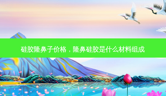 硅胶隆鼻子价格,隆鼻硅胶是什么材料组成-第1张图片-容颜讯 硅胶隆鼻子价格,隆鼻硅胶是什么材料组成-第1张图片-容颜讯