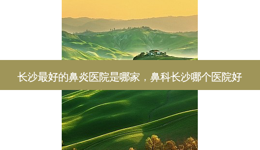 长沙好的鼻炎医院是哪家,鼻科长沙哪个医院好-第1张图片-容颜讯 长沙好的鼻炎医院是哪家,鼻科长沙哪个医院好-第1张图片-容颜讯