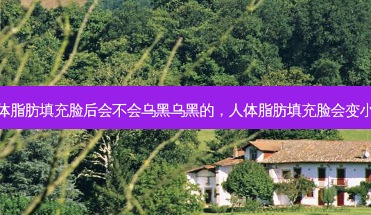 人体脂肪填充脸后会不会乌黑乌黑的，人体脂肪填充脸会变小吗-第1张图片-容颜讯