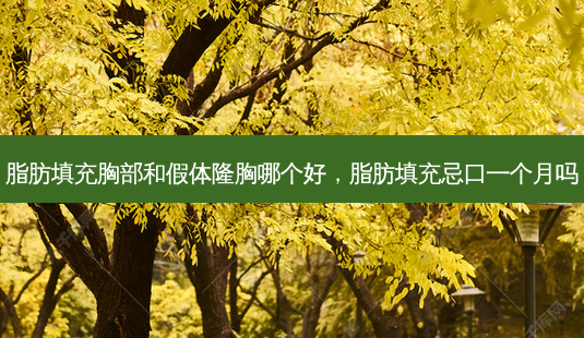 脂肪填充胸部和假体隆胸哪个好,脂肪填充忌口一个月吗-第1张图片-容颜讯 脂肪填充胸部和假体隆胸哪个好,脂肪填充忌口一个月吗-第1张图片-容颜讯